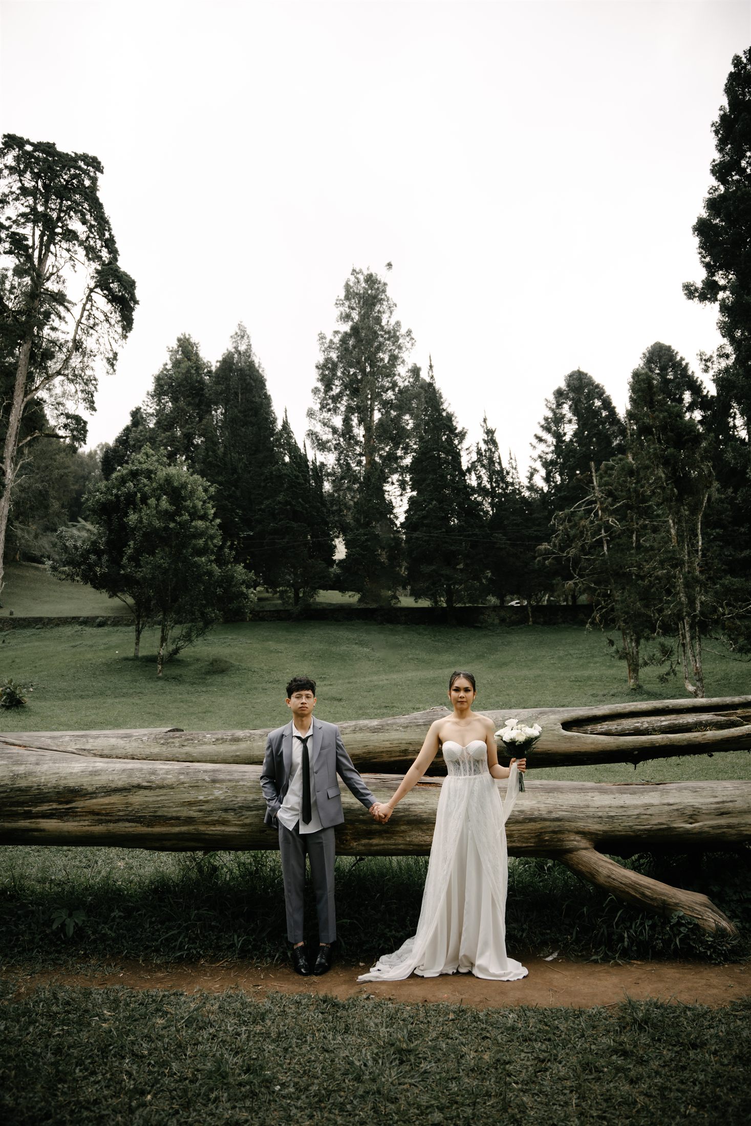 Gallery foto 5